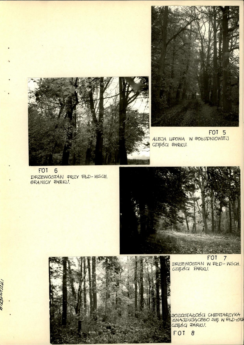 Ewidencja parkowa, skan nr 46