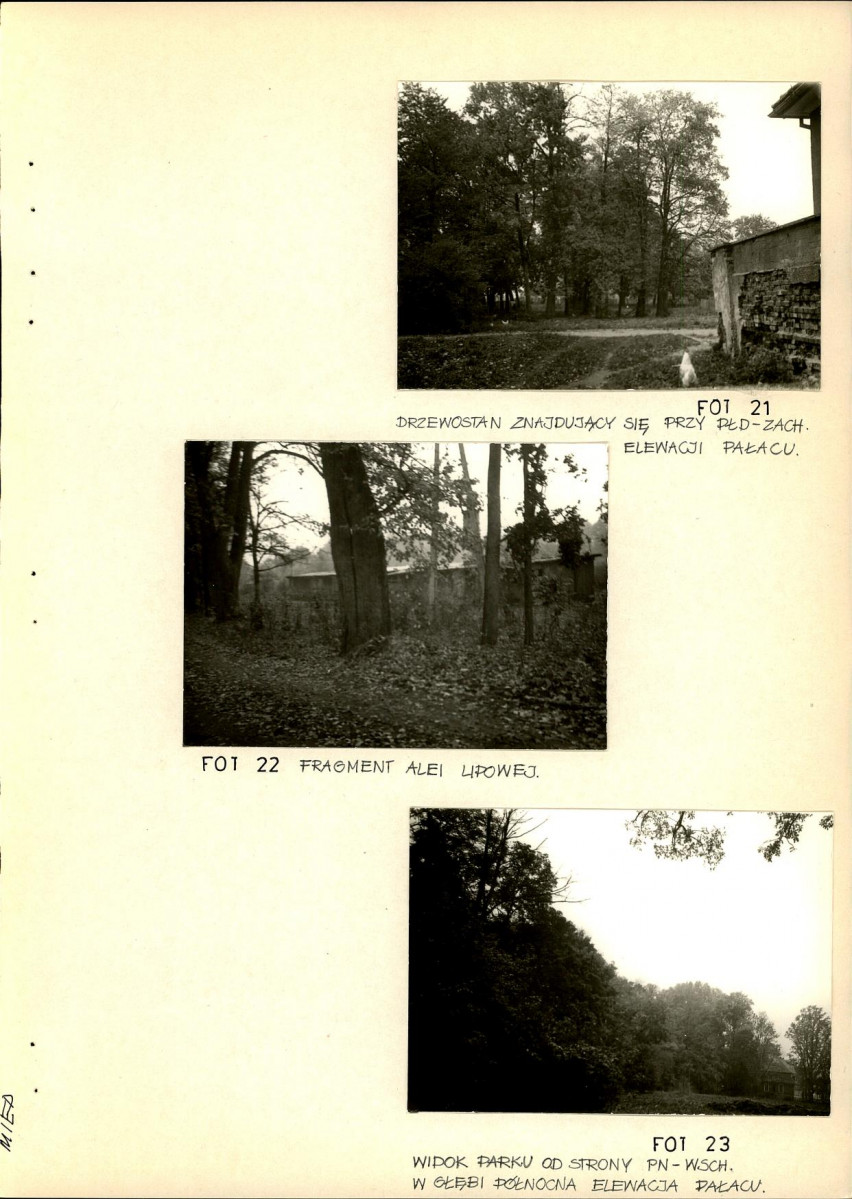 Ewidencja parkowa, skan nr 50