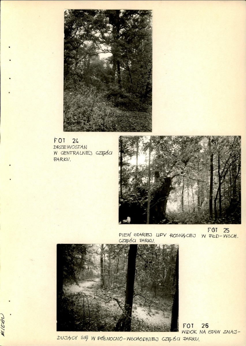 Ewidencja parkowa, skan nr 51