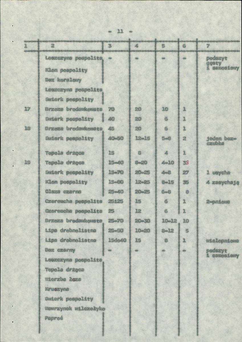Ewidencja parkowa, skan nr 19