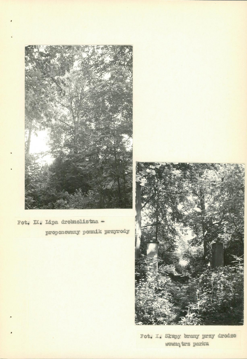 Ewidencja parkowa, skan nr 34