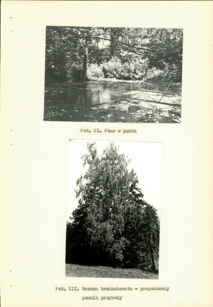 Ewidencja parkowa, skan nr 35
