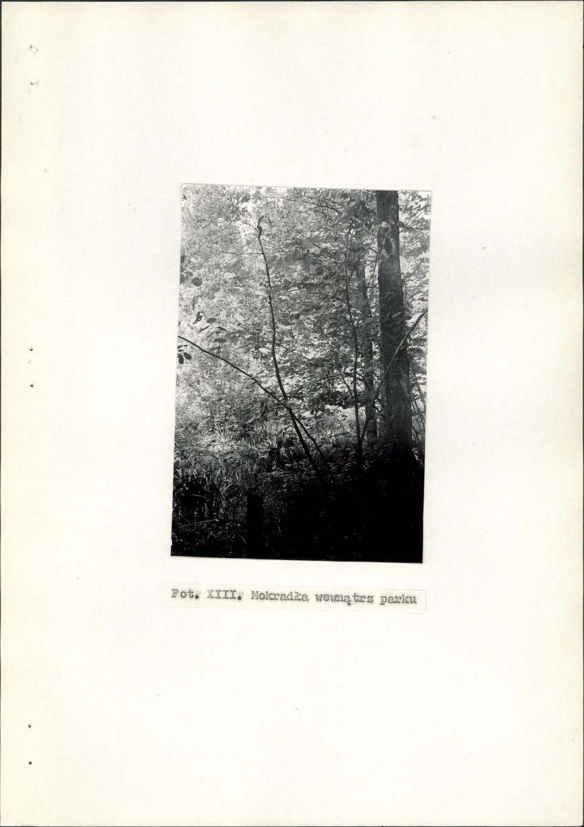 Ewidencja parkowa, skan nr 36