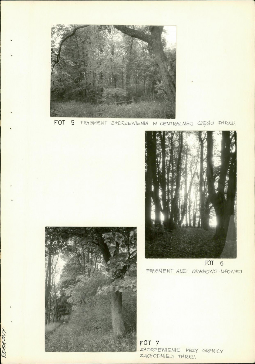 Ewidencja parkowa, skan nr 38