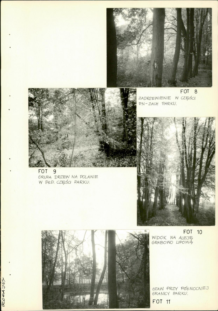 Ewidencja parkowa, skan nr 39