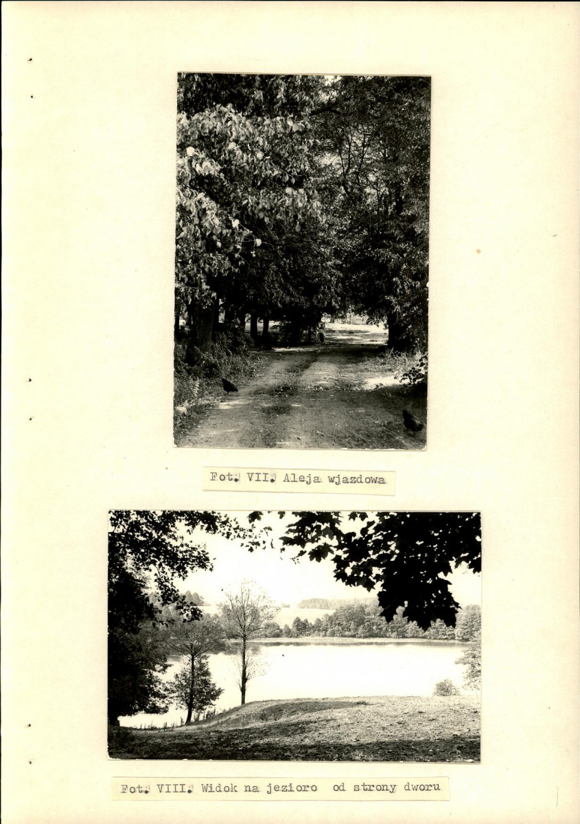 Ewidencja parkowa, skan nr 29