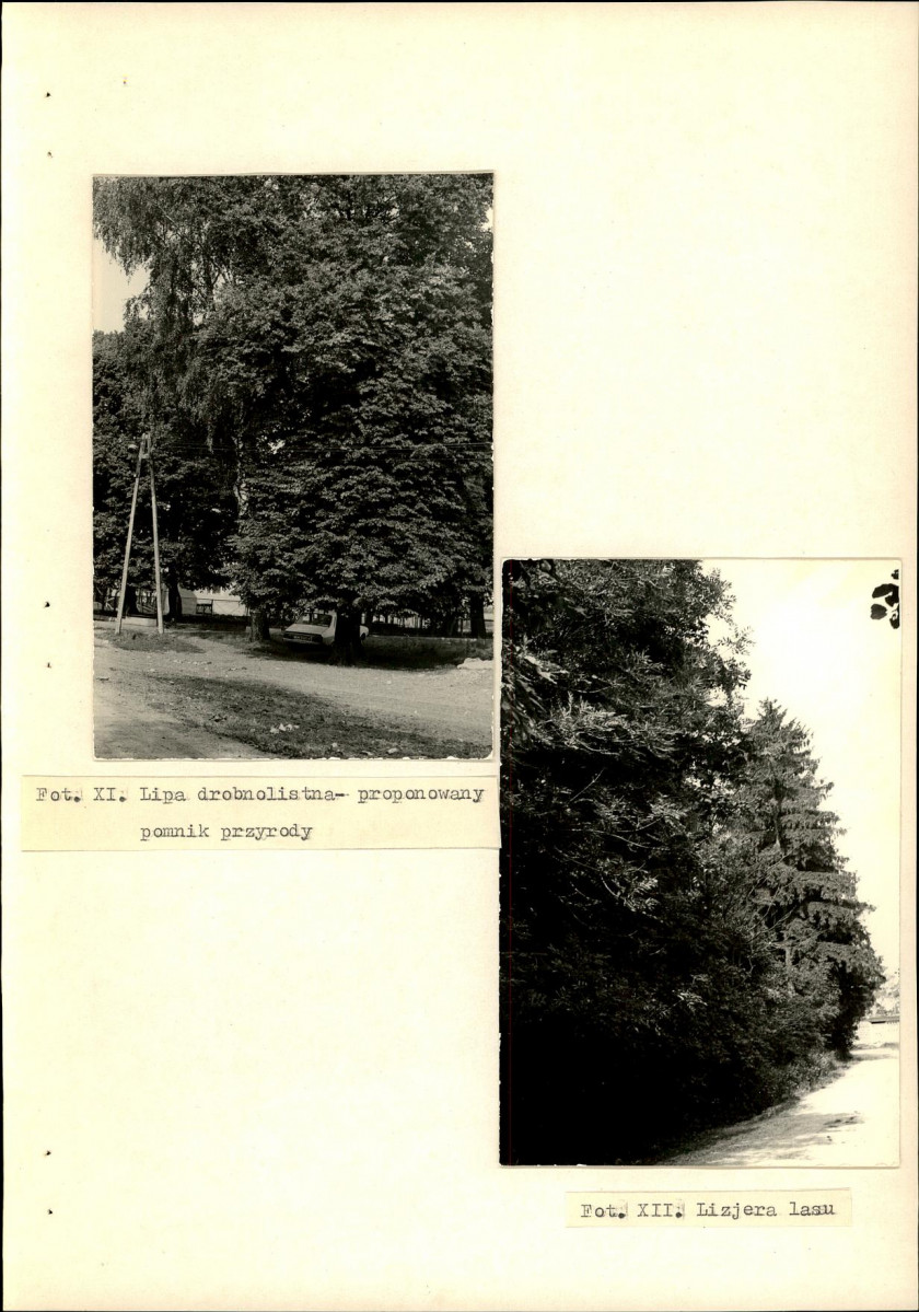 Ewidencja parkowa, skan nr 31