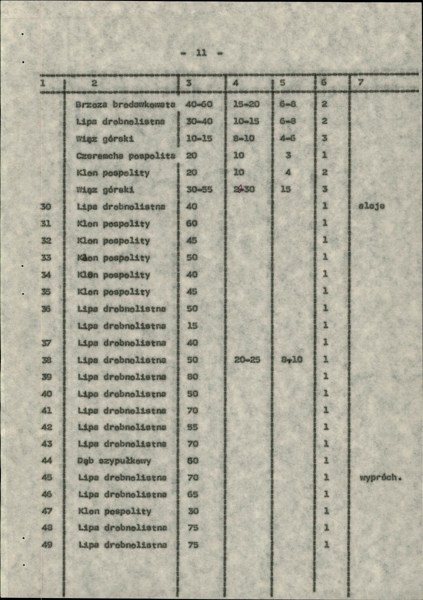 Ewidencja parkowa, skan nr 19