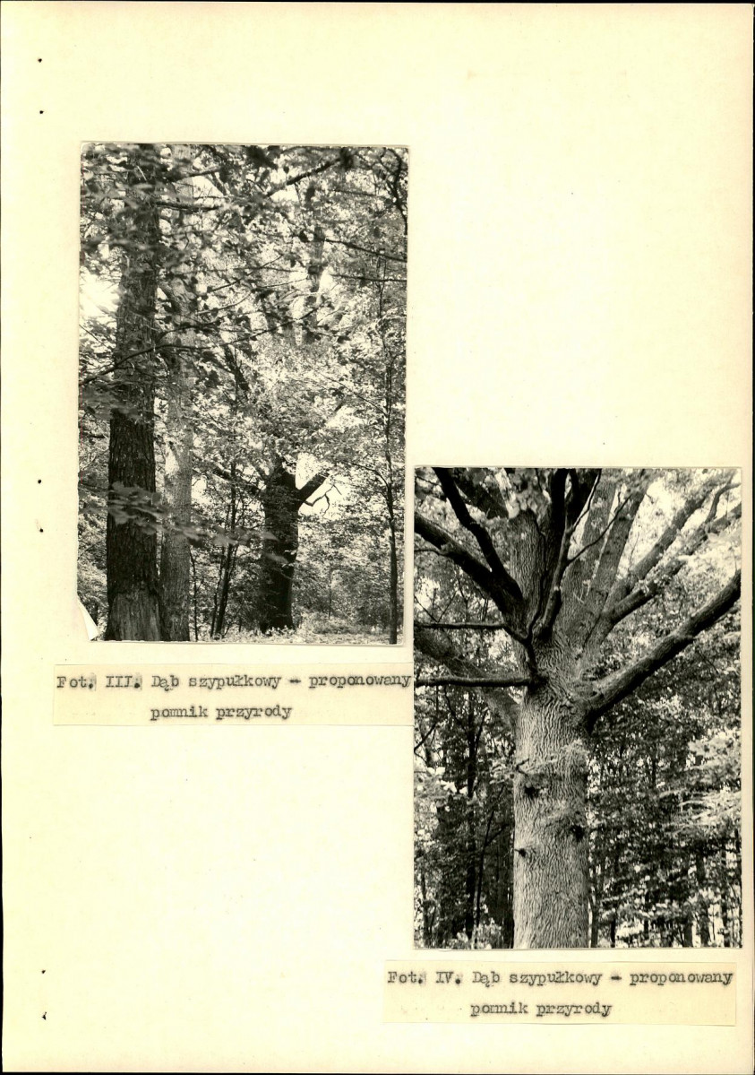 Ewidencja parkowa, skan nr 29