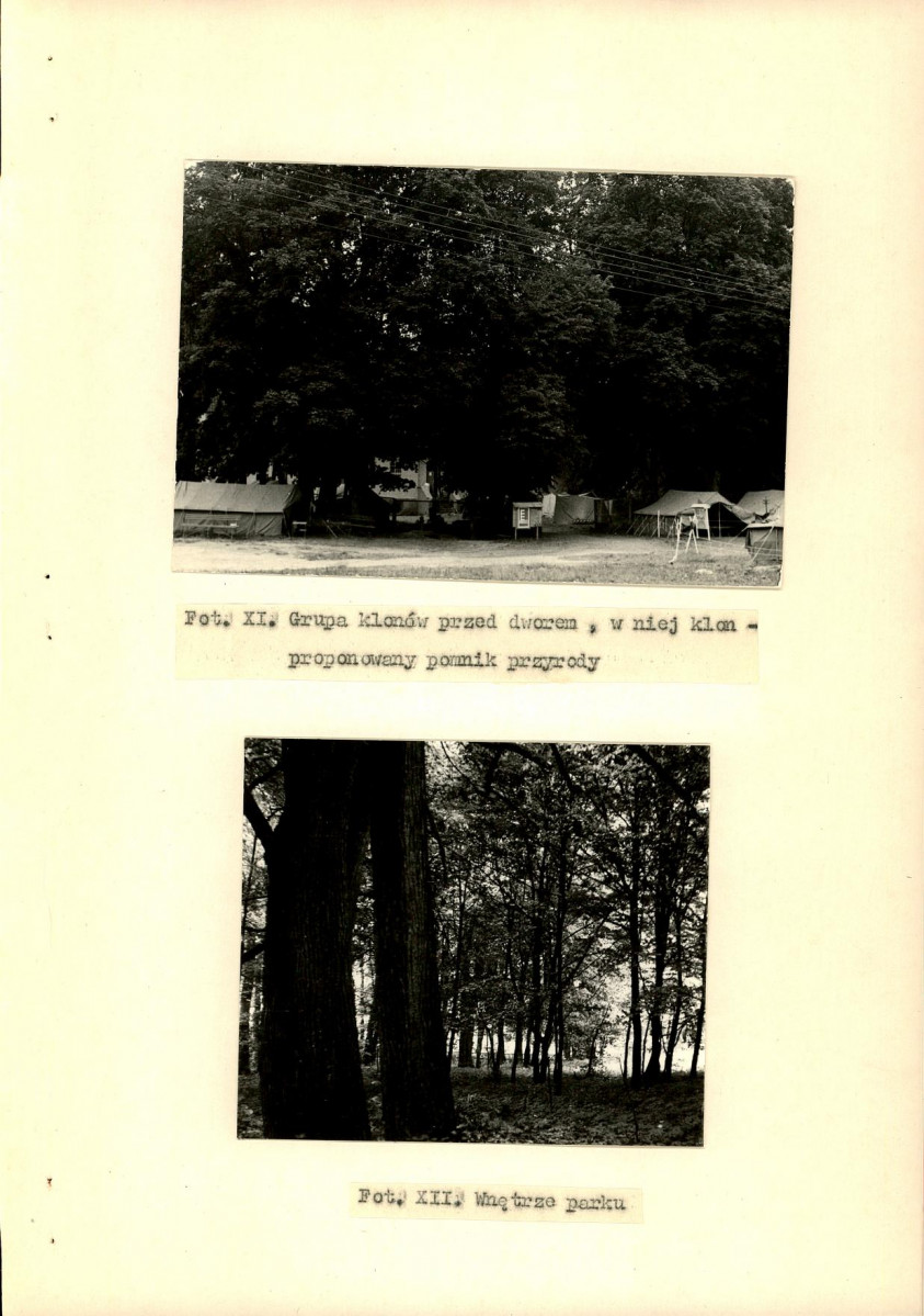 Ewidencja parkowa, skan nr 33