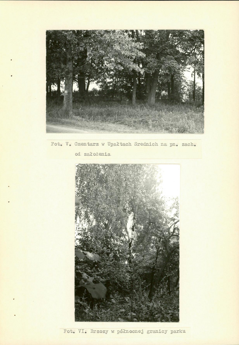 Ewidencja parkowa, skan nr 27