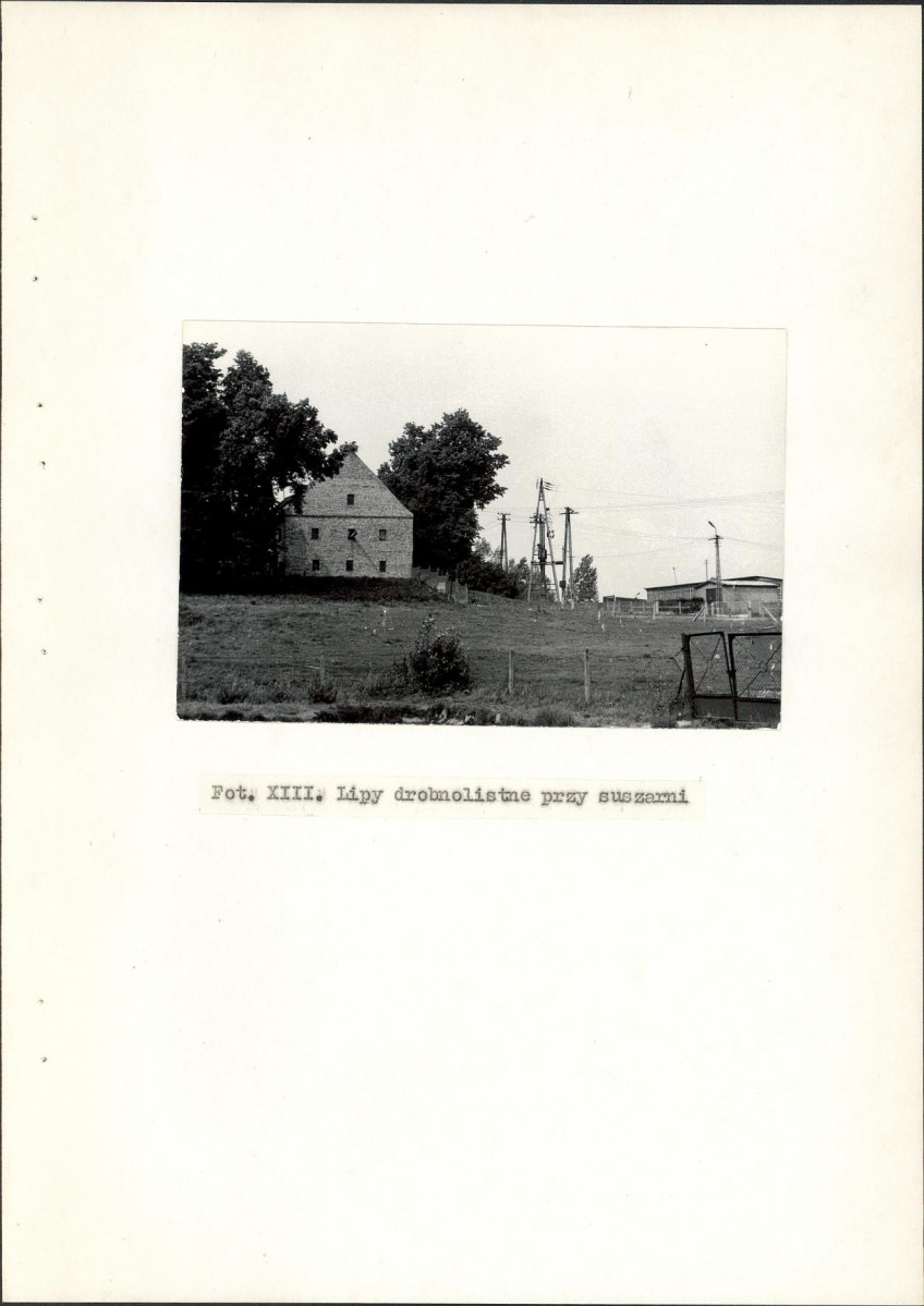 Ewidencja parkowa, skan nr 31