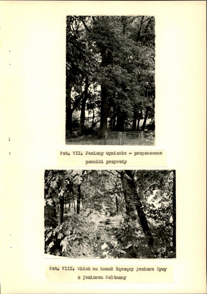 Ewidencja parkowa, skan nr 28
