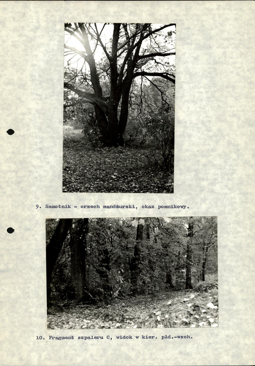Ewidencja parkowa, skan nr 42