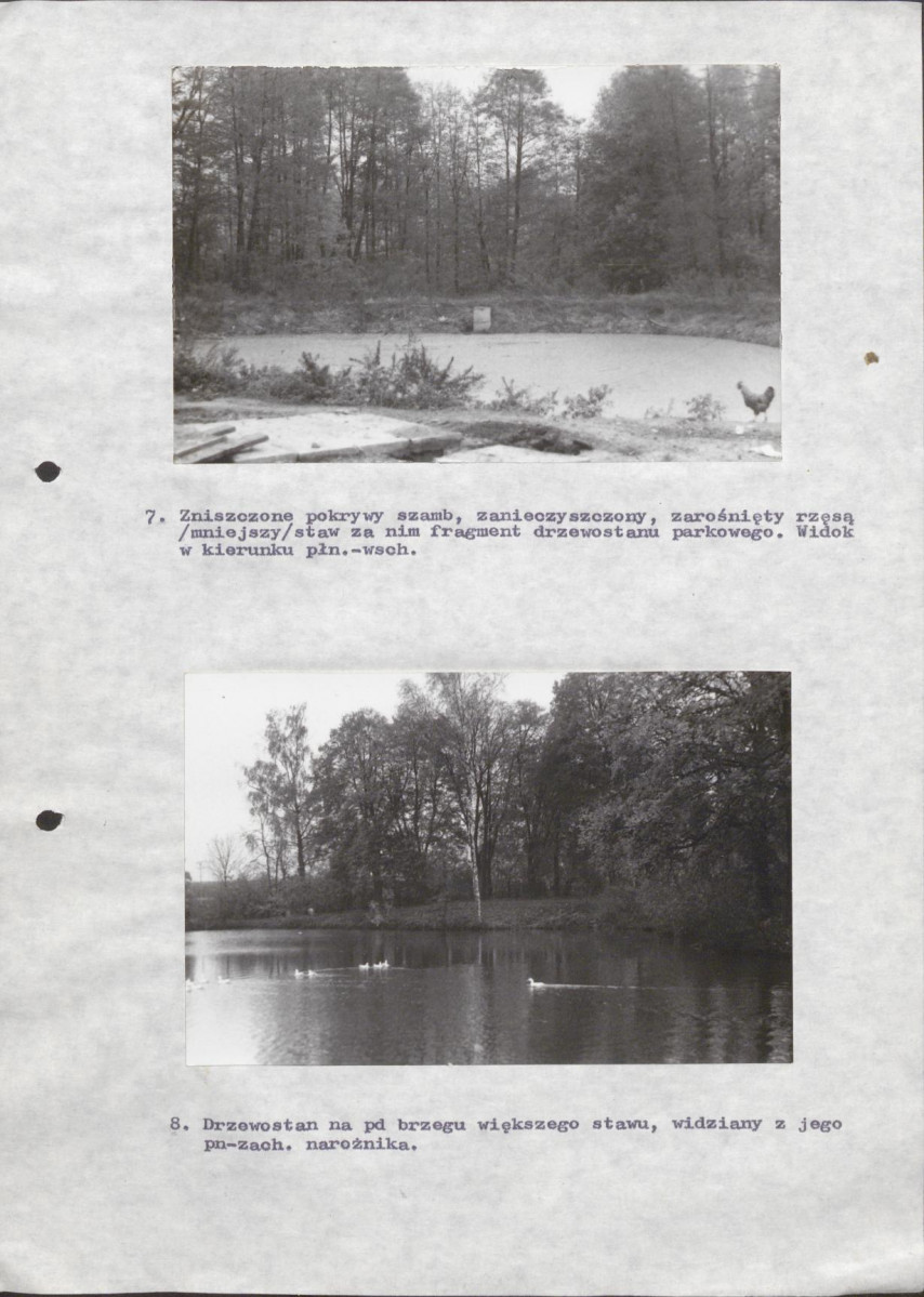 Ewidencja parkowa, skan nr 46