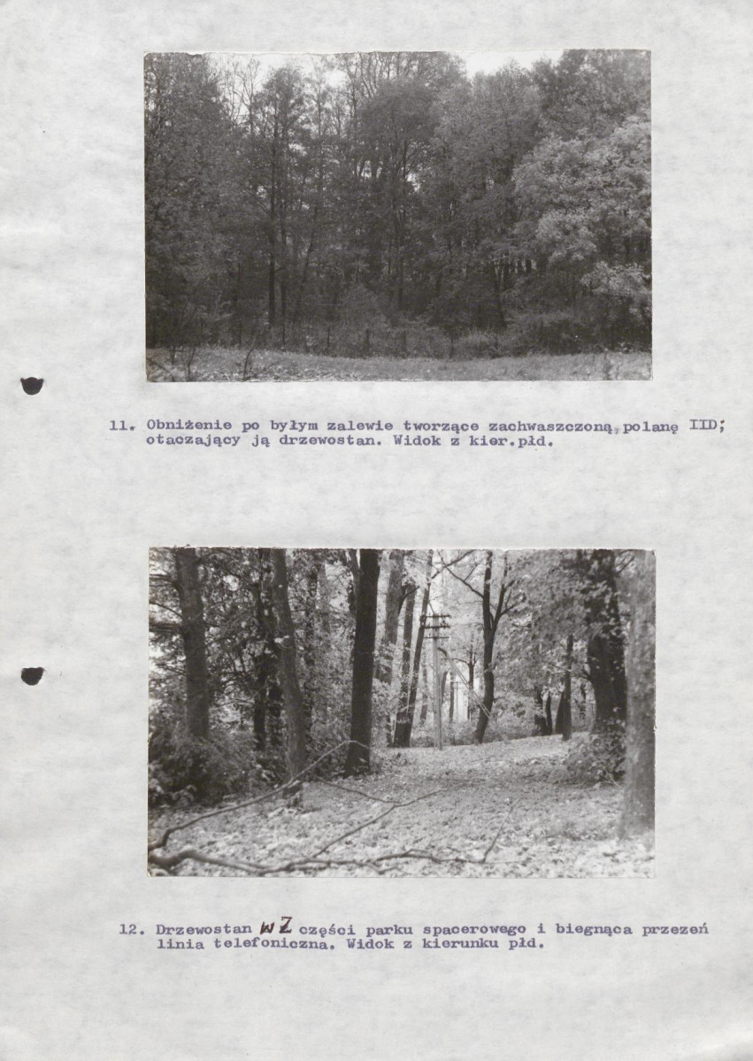 Ewidencja parkowa, skan nr 48