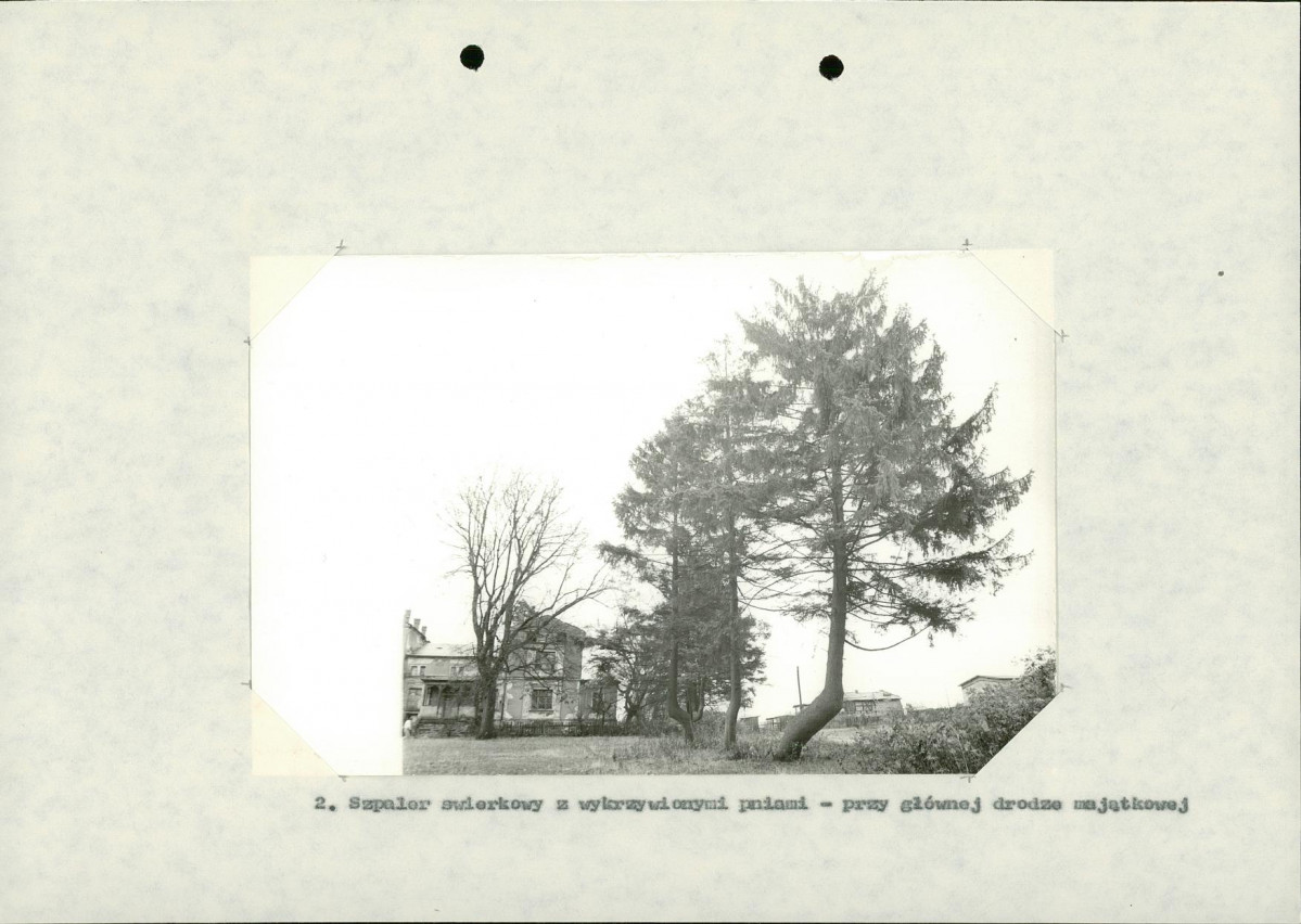 Ewidencja parkowa, skan nr 26