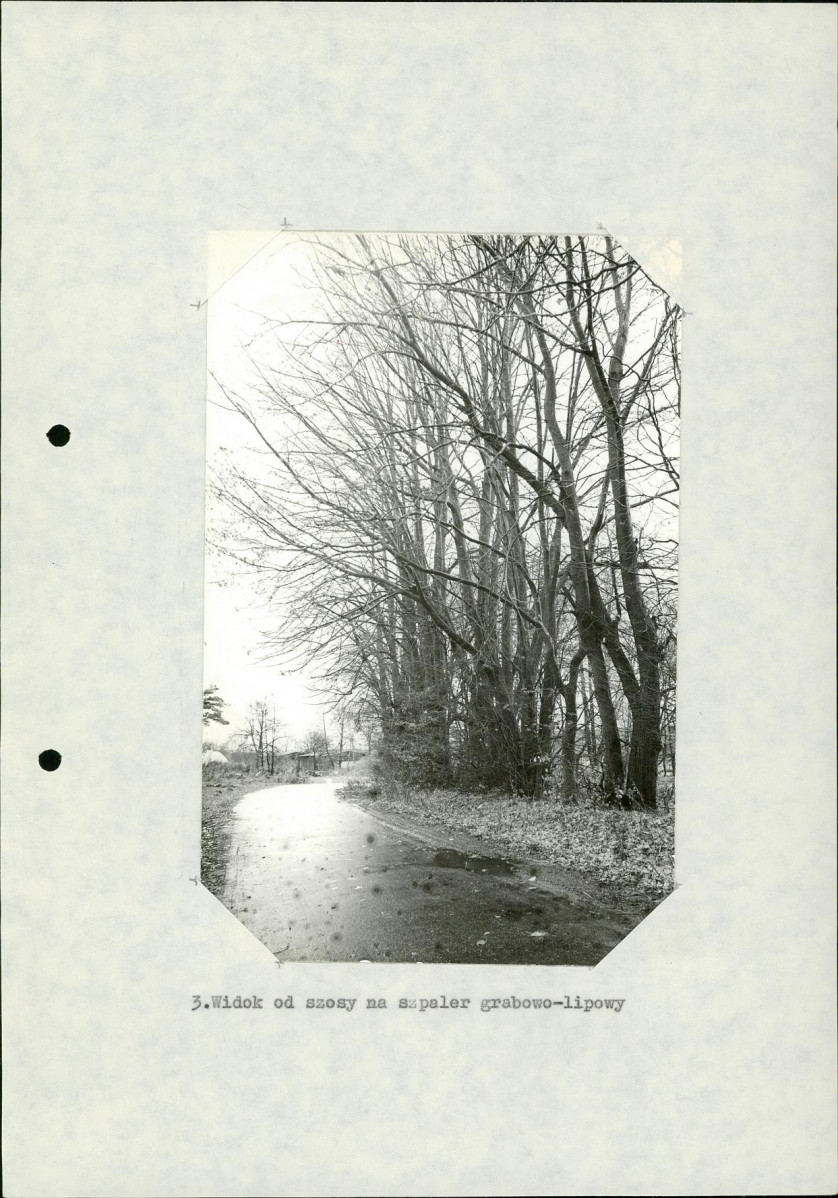 Ewidencja parkowa, skan nr 27