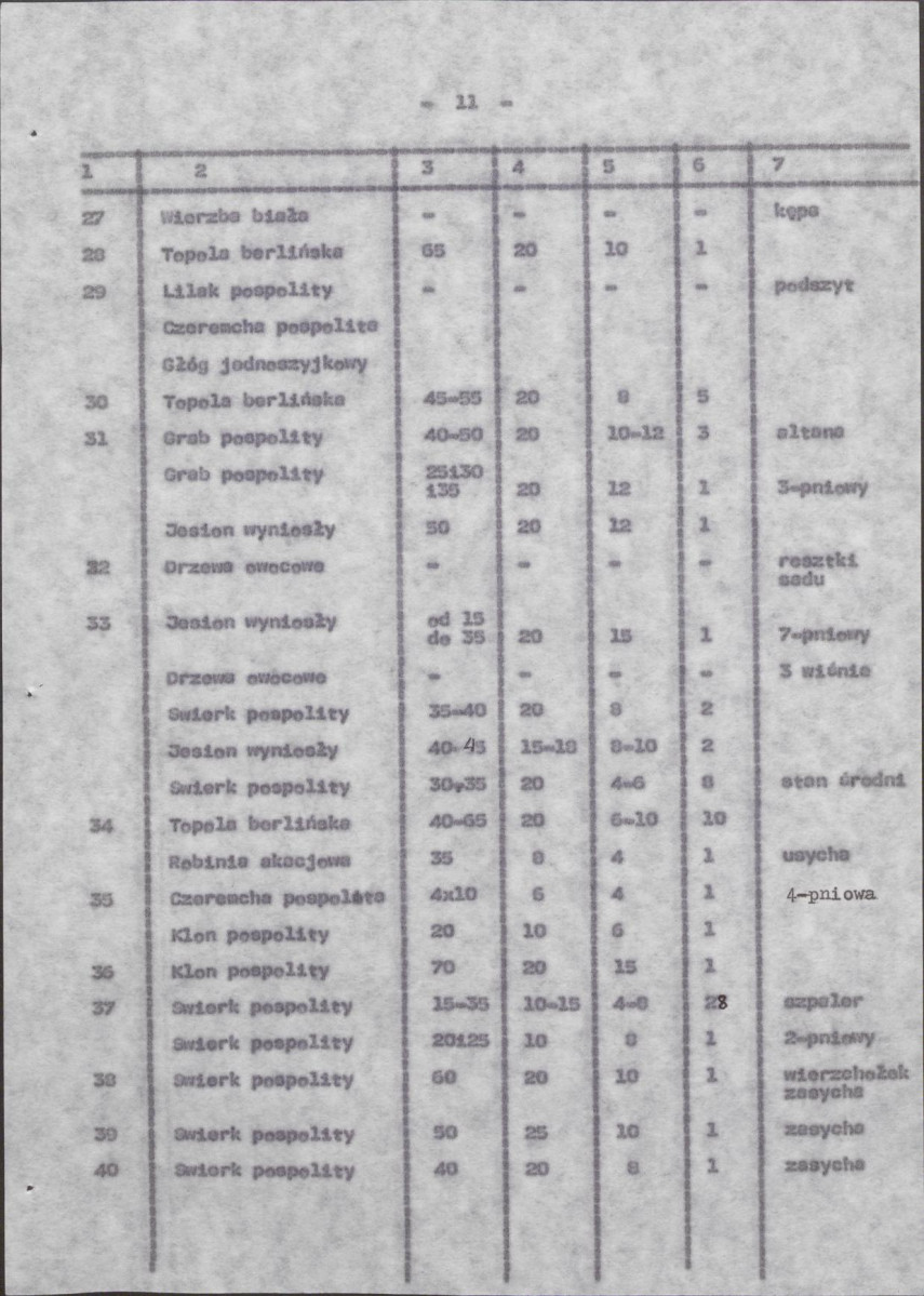 Ewidencja parkowa, skan nr 19