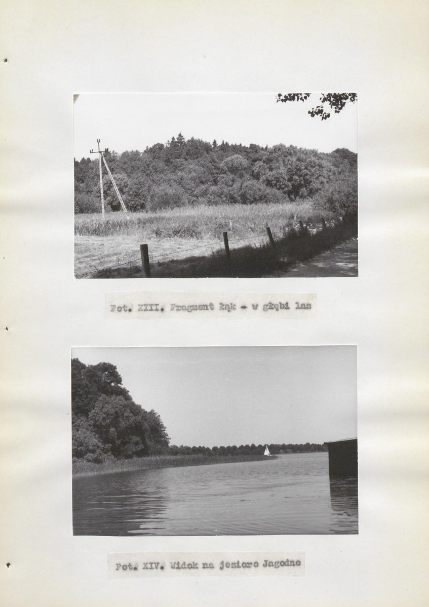 Ewidencja parkowa, skan nr 34