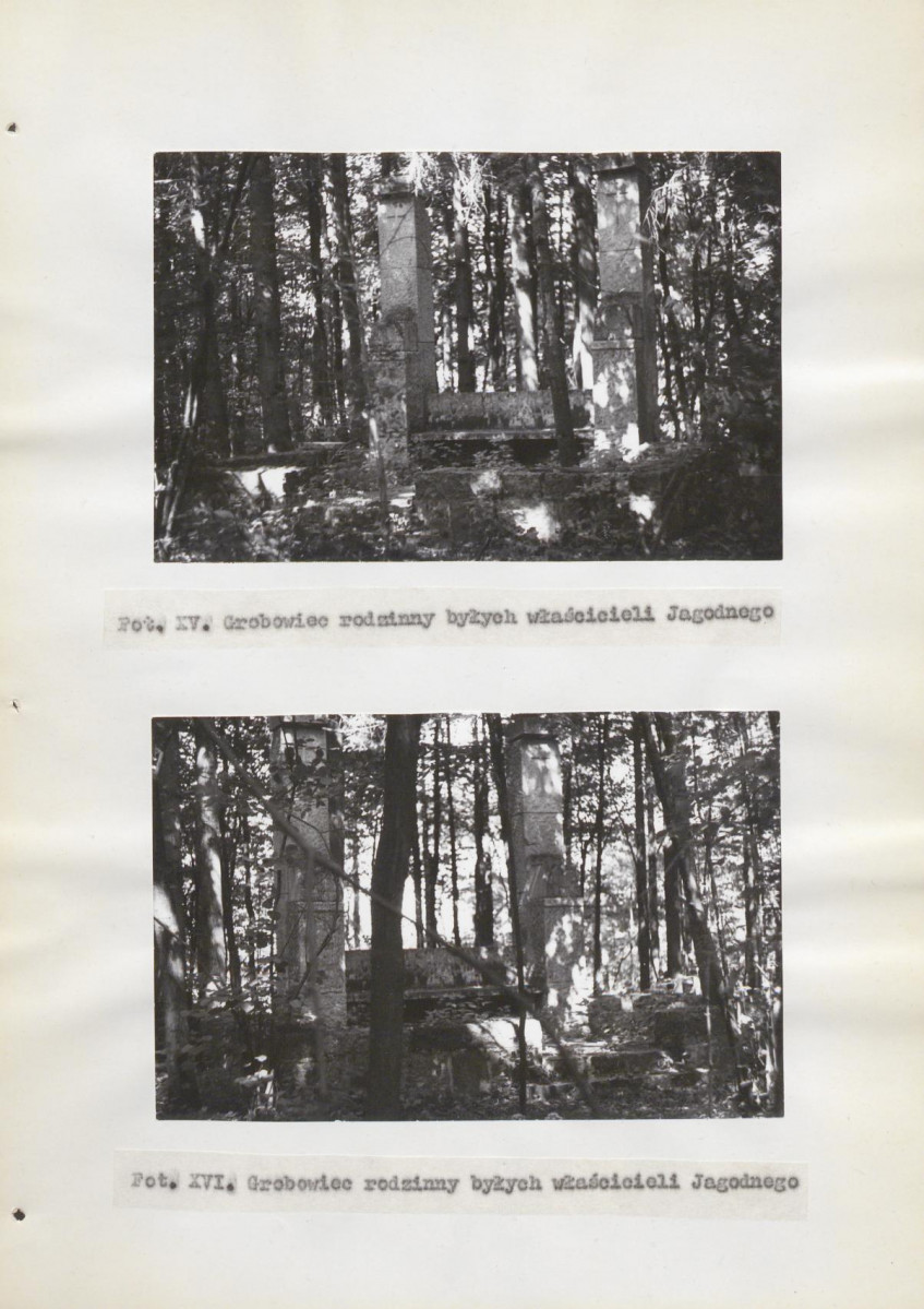 Ewidencja parkowa, skan nr 35
