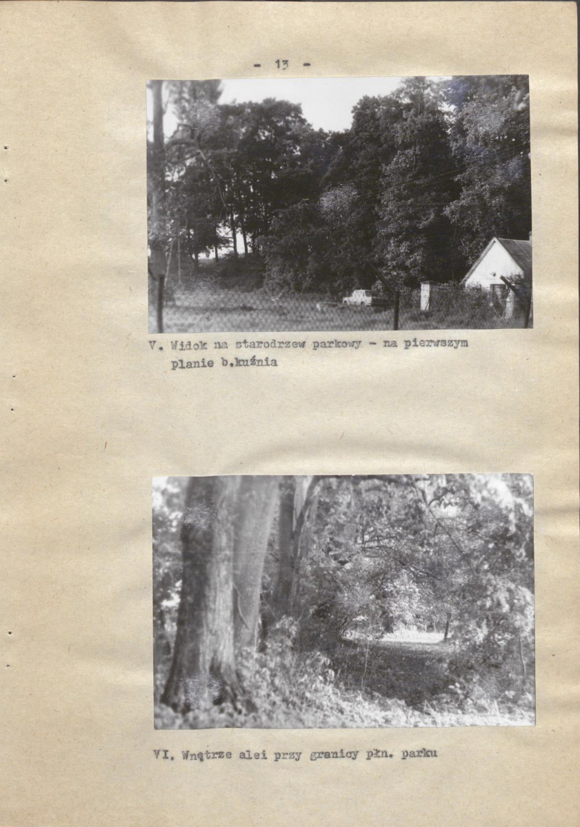 Ewidencja parkowa, skan nr 20