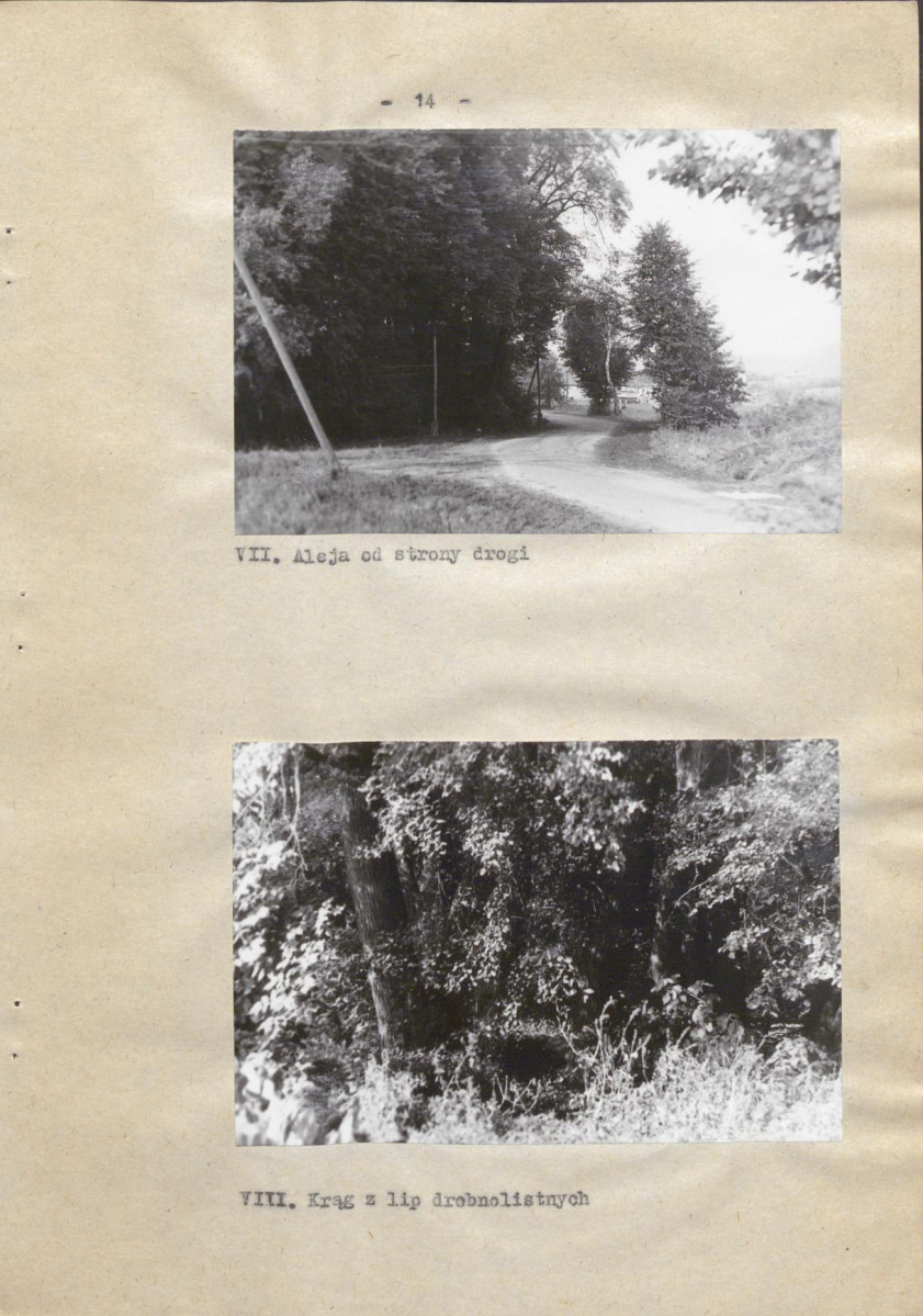 Ewidencja parkowa, skan nr 21