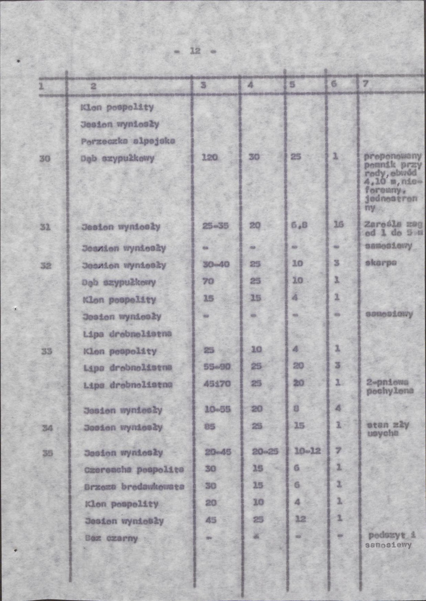 Ewidencja parkowa, skan nr 20