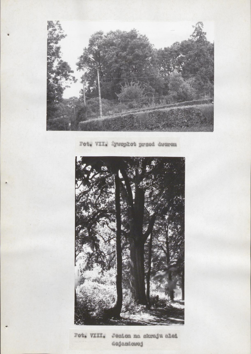 Ewidencja parkowa, skan nr 30