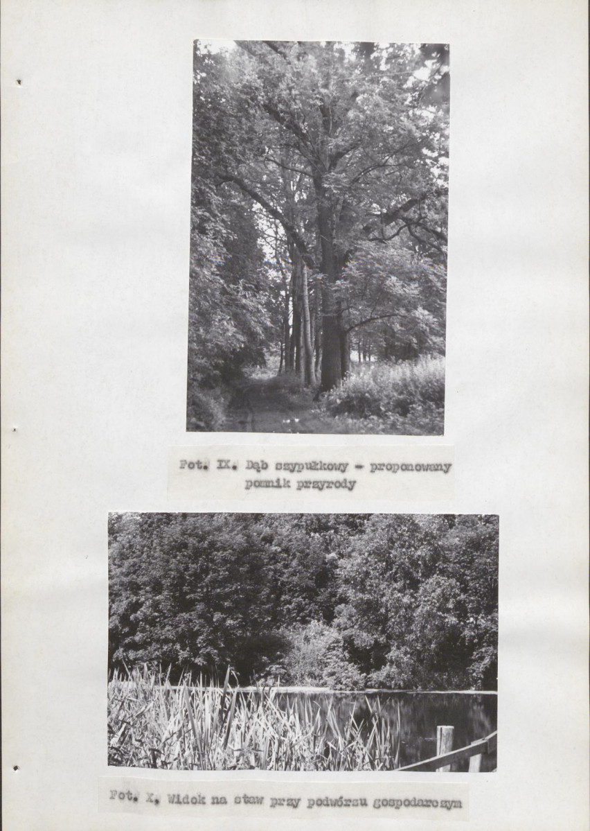 Ewidencja parkowa, skan nr 31