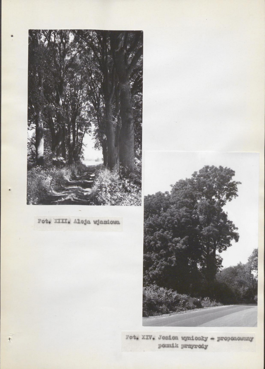 Ewidencja parkowa, skan nr 33