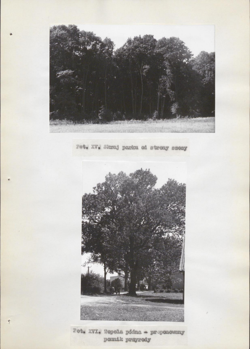 Ewidencja parkowa, skan nr 34