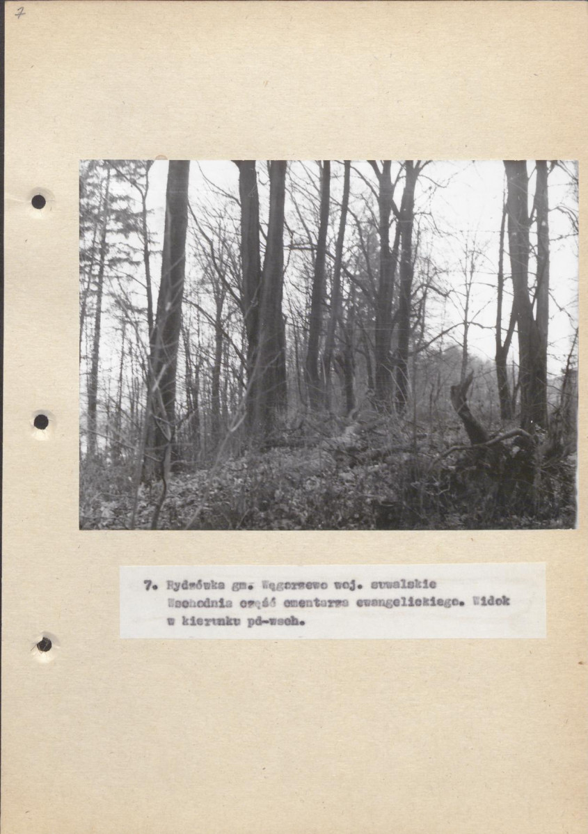 Ewidencja parkowa, skan nr 36