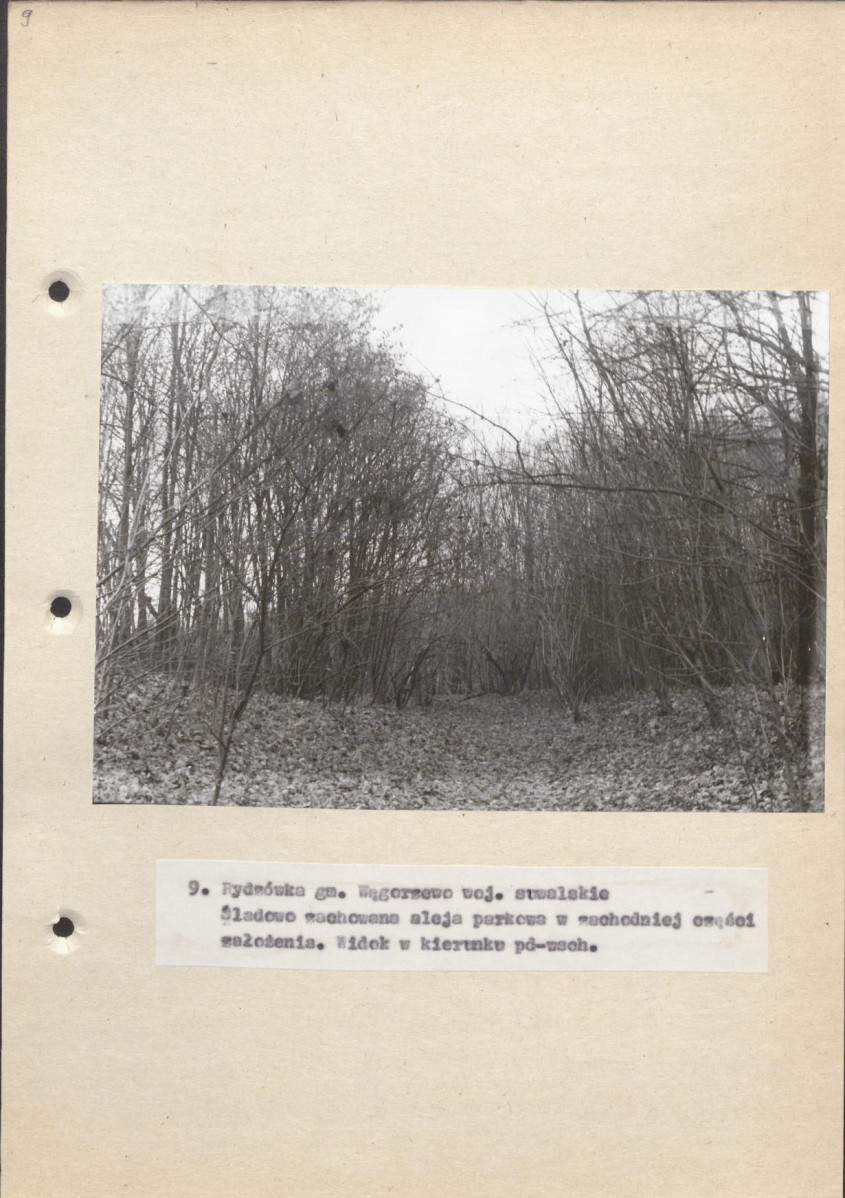 Ewidencja parkowa, skan nr 38