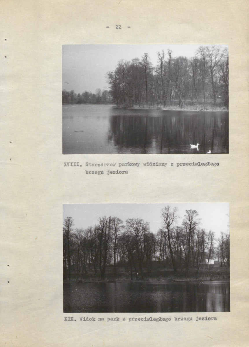 Ewidencja parkowa, skan nr 29