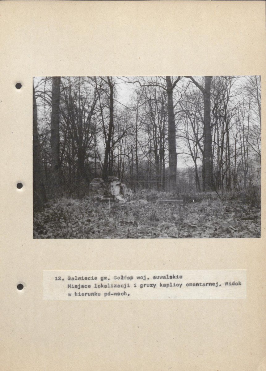 Ewidencja parkowa, skan nr 43