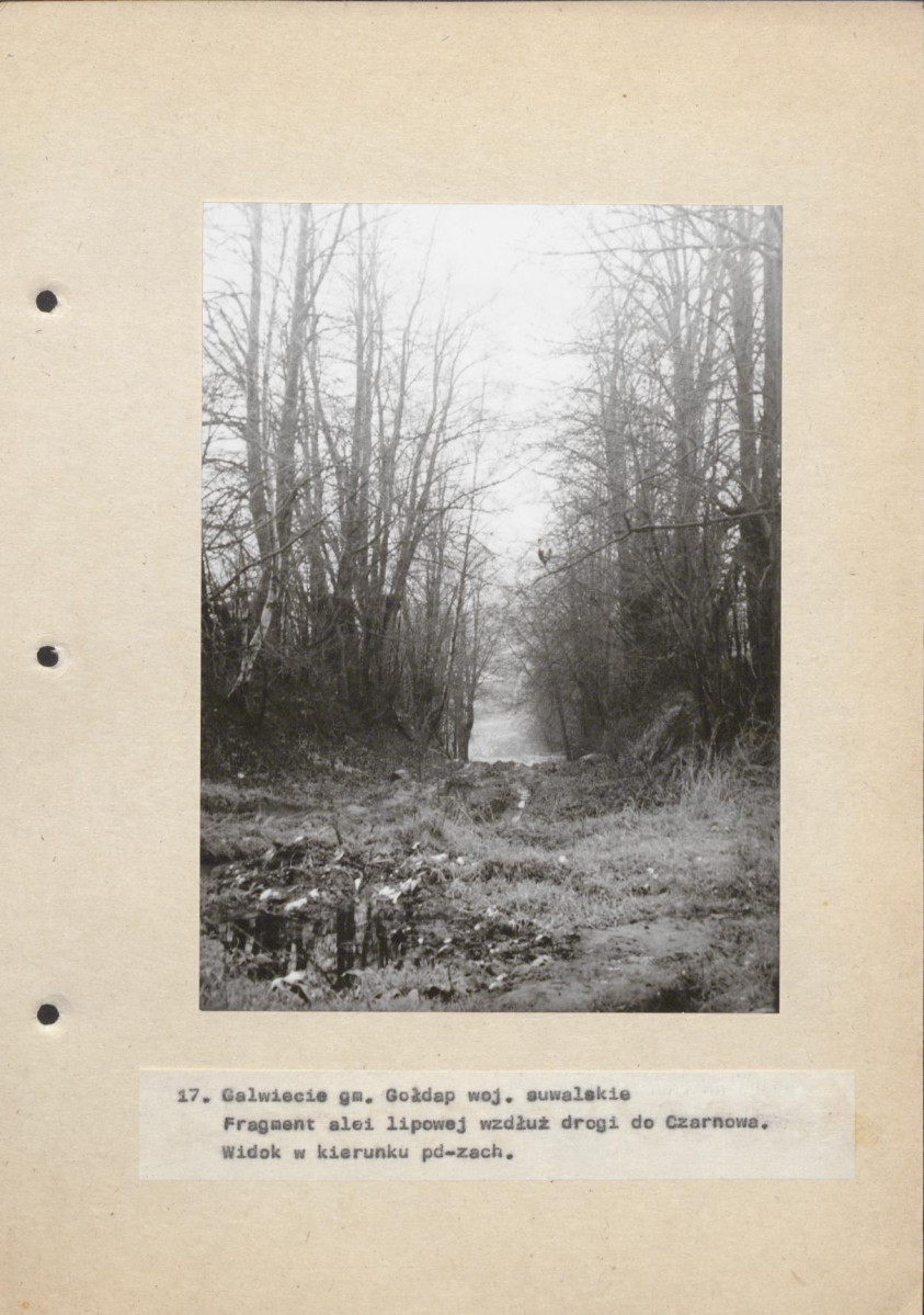 Ewidencja parkowa, skan nr 48