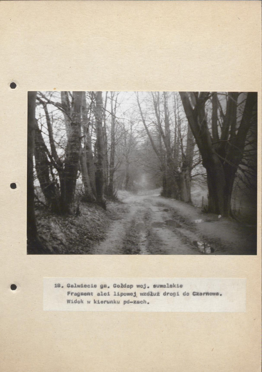 Ewidencja parkowa, skan nr 49