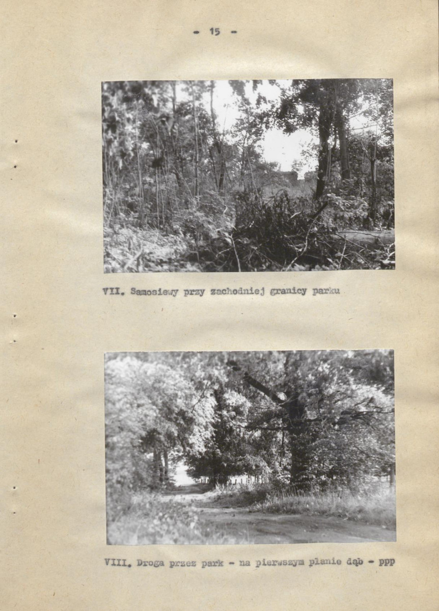 Ewidencja parkowa, skan nr 22