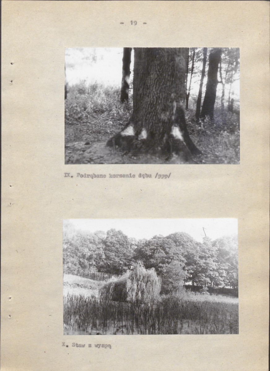 Ewidencja parkowa, skan nr 26
