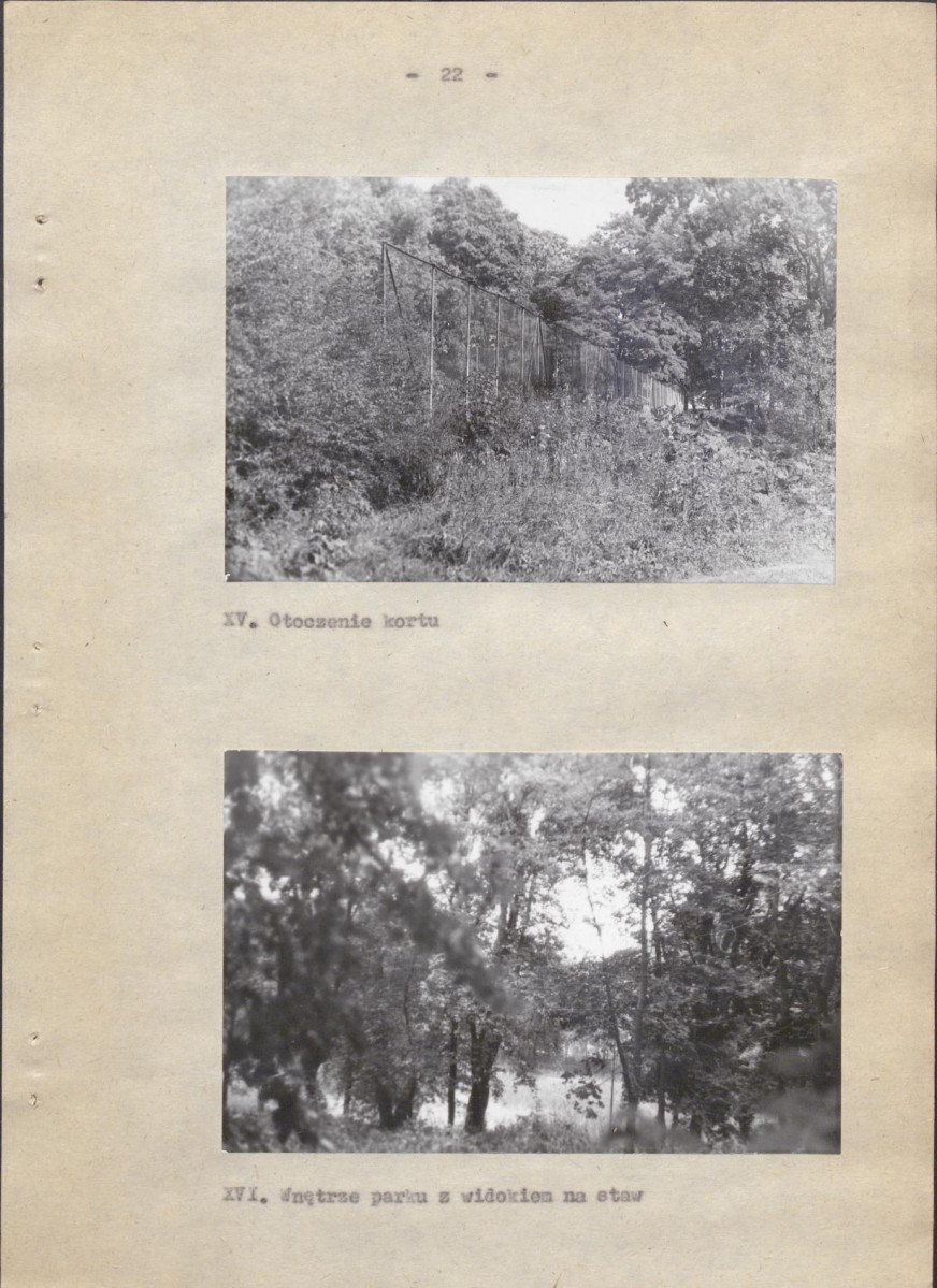 Ewidencja parkowa, skan nr 29