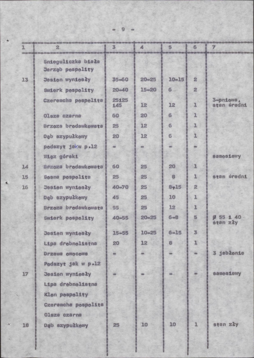 Ewidencja parkowa, skan nr 17