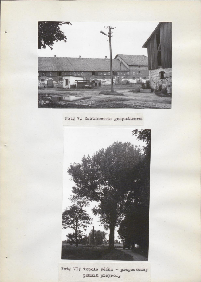 Ewidencja parkowa, skan nr 26