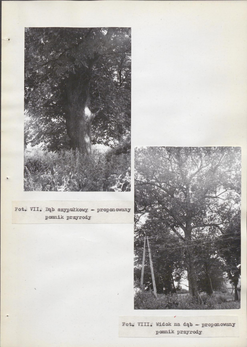 Ewidencja parkowa, skan nr 27