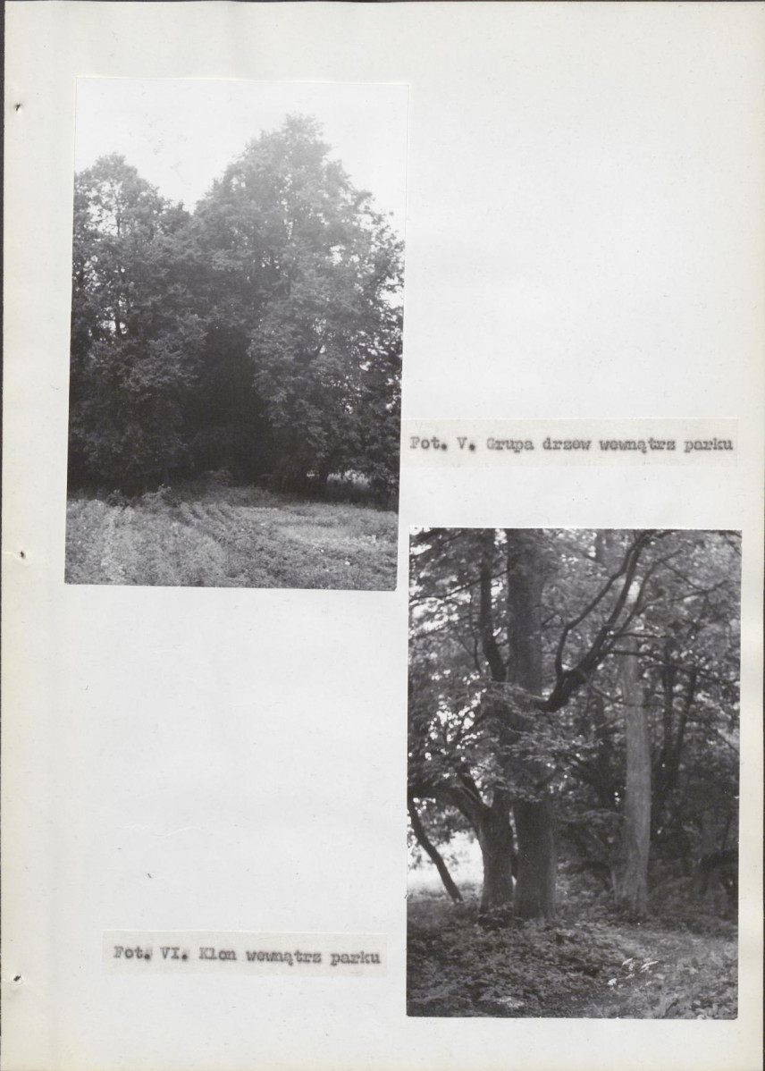 Ewidencja parkowa, skan nr 27