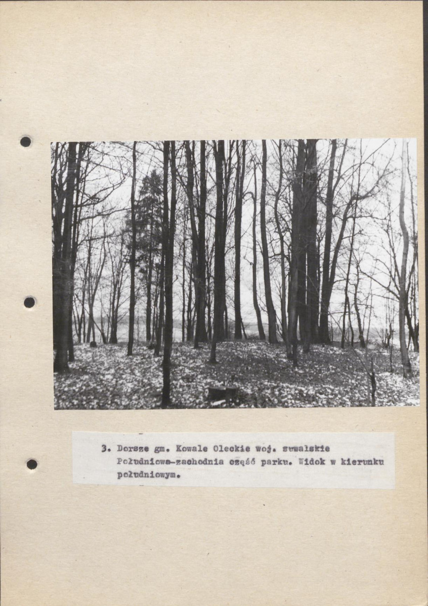 Ewidencja parkowa, skan nr 31