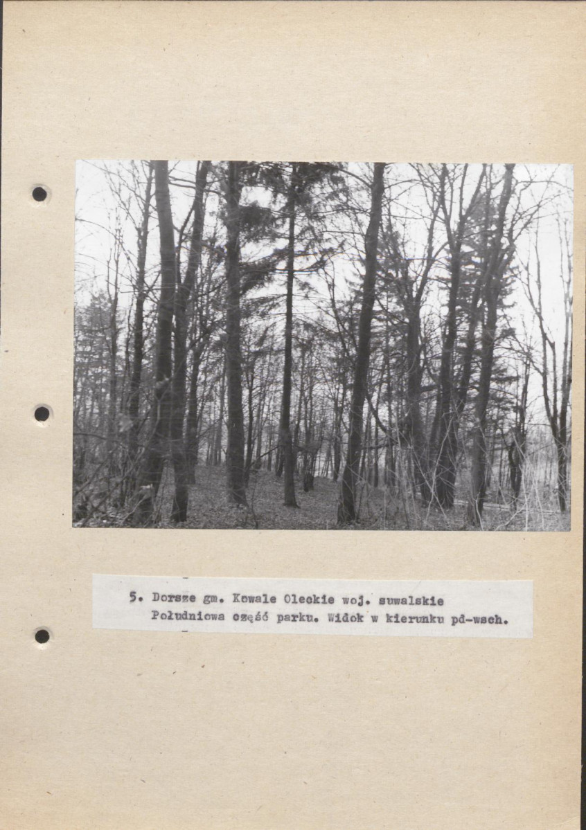 Ewidencja parkowa, skan nr 33