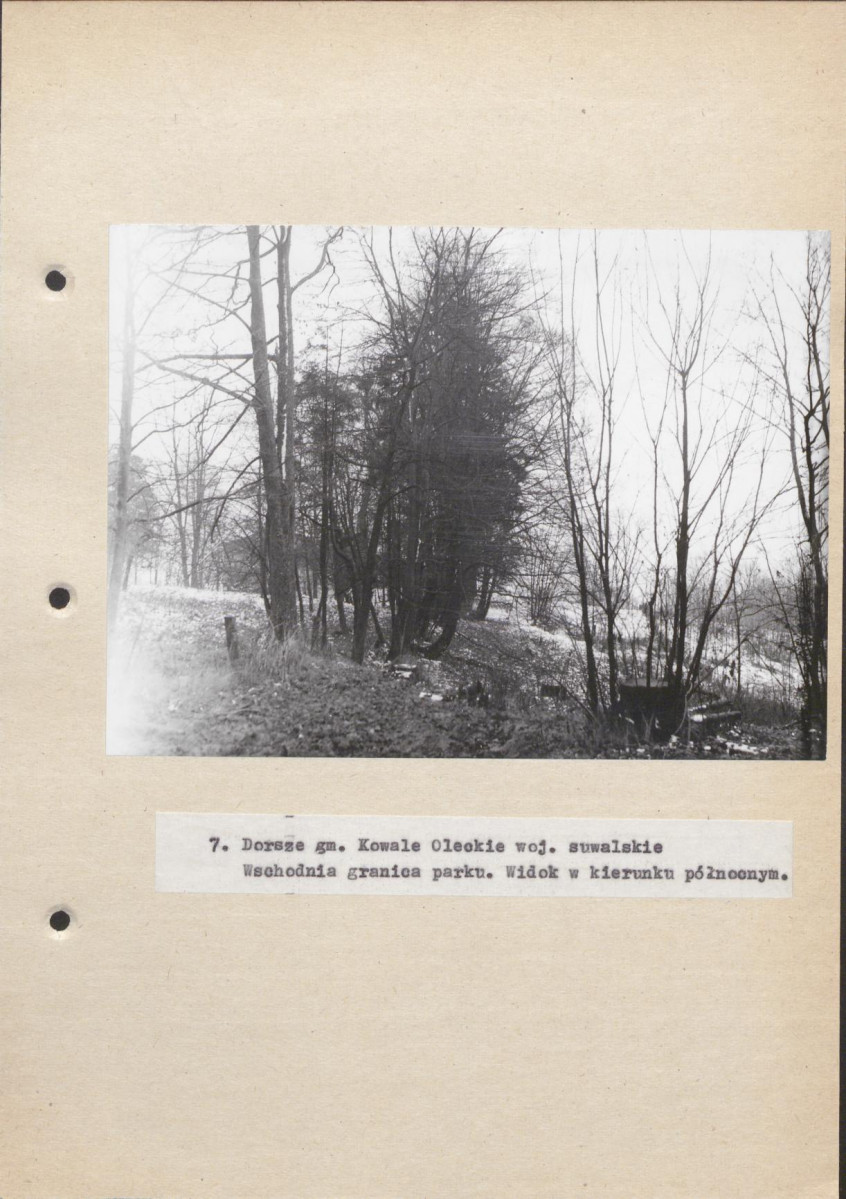 Ewidencja parkowa, skan nr 35