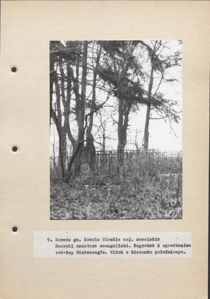 Ewidencja parkowa, skan nr 37