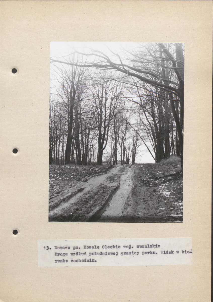 Ewidencja parkowa, skan nr 41